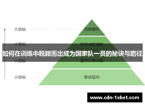 如何在训练中脱颖而出成为国家队一员的秘诀与路径