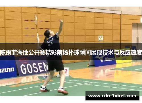 陈雨菲海地公开赛精彩前场扑球瞬间展现技术与反应速度