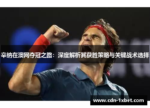 辛纳在澳网夺冠之路：深度解析其获胜策略与关键战术选择