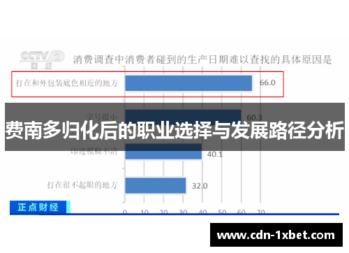 费南多归化后的职业选择与发展路径分析 费南多归化后的职业选择与发展路径分析