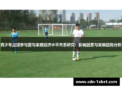 青少年足球参与度与家庭经济水平关系研究：影响因素与发展趋势分析